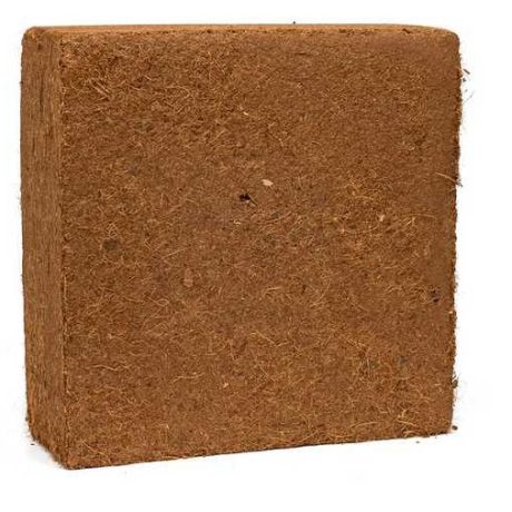 5KG PITH BLOCK Supplier Near Me (6)