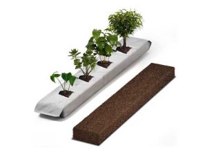 Best Coco Coir Grow bags Supplier In India (2)