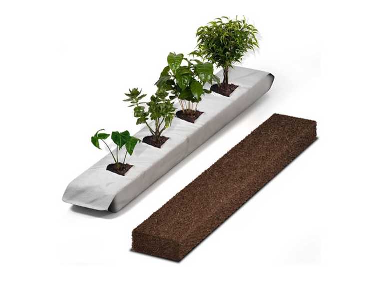 Best%20Cocopeat%20Manufacturer%20|%20Coco%20Peat%20Supplier%20In%20India