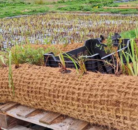 COIR FIBRE BALE Supplier Near Me (2)