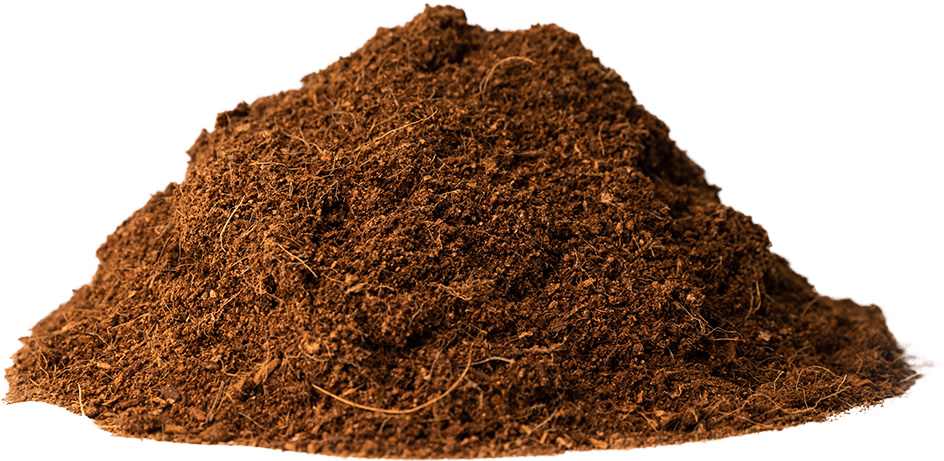 Best%20Cocopeat%20Manufacturer%20|%20Coco%20Peat%20Supplier%20In%20India